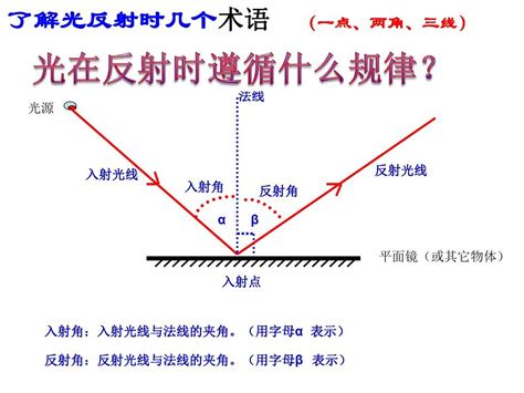 鏡子的反射|鏡子反射原理